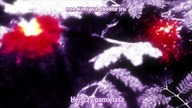 Dance in the Vampire Bund (anime) - Odcinek 6 Od zmierzchu do witu