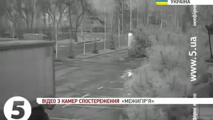 Zobacz, jak wywożą majątek Janukowycza 