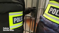 Fałszywy policjant zatrzymany.  Ukradł 12 tys.  zł seniorce