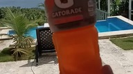 Gatorade - izotonik z Ameryki #sportsdrink #gatorade #electrolyte