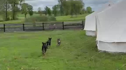 2ad357e1-6f66-4751-b7ae-c93e3610d4e6