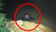 5 Strasznych Paranormalnych Nagrań z INTERNETU!