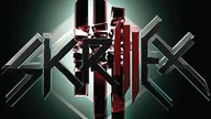 Levels -(skrilex remix)