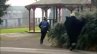 Ukryta Kamera UFO