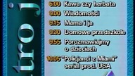 TVP1 - Program dnia + fragment teledysku (01. 12. 1993)