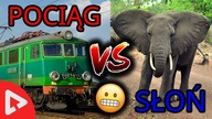 POCIĄG VS SŁOŃ !!! - 10 CIEKAWOSTEK  #9