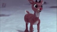 Rudolf czerwononosy renifer(Rudolph The Red Nosed Reindeer)1964