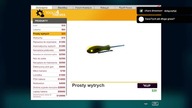 Thief Simulator