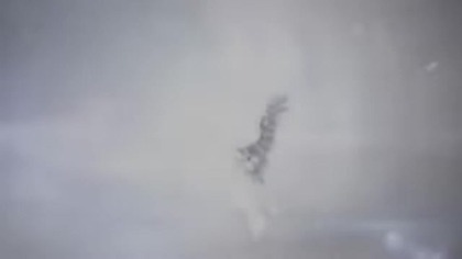 Bashar Pl - Najgłębszy przekaz Most Profound Speech PL