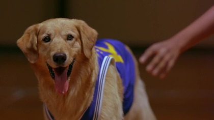 Koszykarz Buddy(Air Bud) fmilijny, komedia 1997 lektor pl