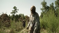 The Walking Dead. S11E13