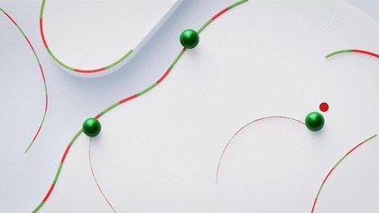 TVP Polonia - Bożonarodzeniowy ident stacji (26. 12. 2025)