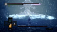 Seath the Scaleless NG+7 (Ultra Greatsword / No Damage) Dark Souls Remastered