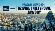 PRACA W UK W 2024 - DZIWNE I NIETYPOWE ZAWODY