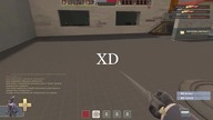 Tajfun wyzywa ludzi na serwerze TF2 CZ2
