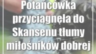 Potańcówka przyciągnęła do Skansenu tłumy miłośników dobrej zabawy