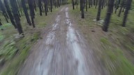 Niedźwiedźi atak , Człowiek stara się uciec od ataku niedźwiedzia : GoPro