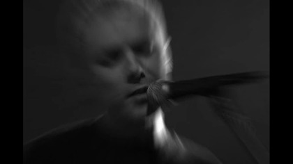 vein cat - i want you