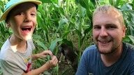 Do żniw kukurydzianych coraz bliżej - Jak wyglądają wschody rzepaku w uprawie ST?