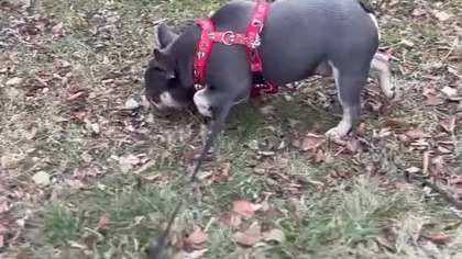 Ciekawe kto tutaj był?!