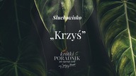 Słuchowisko #47 | Krzyś | Krótki poradnik jak ogarnąć życie [PODCAST]