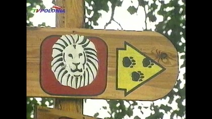 Dis..Polskie Zoo..VID-1745092344889 (1) (1) (2)