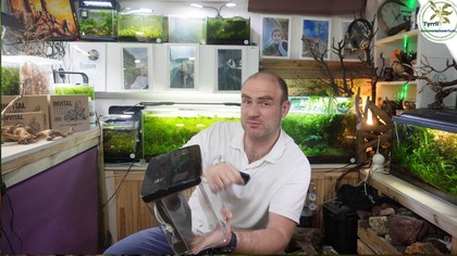 Akwarium z Tylna filtracją.