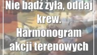 Nie bądź żyła, oddaj krew.  Harmonogram akcji terenowych na nowy tydzień