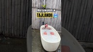 Kto lubi morsować? Ja to robię w Tajlandii  #shorts