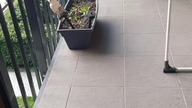 Miasteczka gniewu są potrzebne? (ankieta)