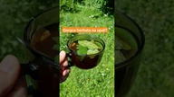 Gorąca herbata na upał? Nie!