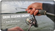 GRUBE JESIENNE OKONIE I SZCZUPAKI // październik 2023