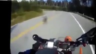 MOTYCYKLISTA WPADA NA JELENIA !