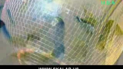 szalala-rmx-video-clip