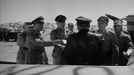 Pustynny.  lis.  1951.  Lektor.pl