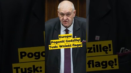 Europa: Pogonić Godzillę! Tusk: Wnieść flagę! #Tusk #Godzilla #sejm #wybory #Polska #polityka