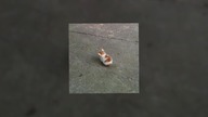 Seafret - Atlantis (Sped up)