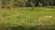 Ogród permakultura, decyzja do 10 maja #samowystarczalność #nature #biofarma #warzywa