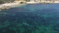 Wieloryb odwiedził pewną przytulną lagunę