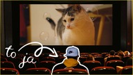 Przenośne kino?! Bezprzewodowy projektor Samsung Freestyle