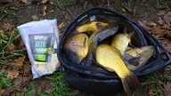 Feeder Bait Prestige - Test nad wodą