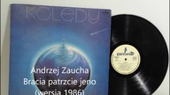 Andrzej Zaucha - Bracia patrzcie jeno (z orkiestrą Zbigniewa G&oacute;rnego)