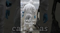 Czy grozi nam kolejna pandemia? #pandemia #wirus #h5n1 #zwierzęta #ludzie