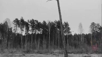 jeśli sie rozstaniecie .. #music #wildlife #dance