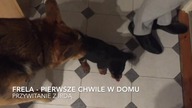 Frela i Irda -pierwsze spotkanie