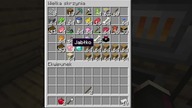 #Minecraft Gramy na Własnym serwerze#LIVE #