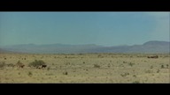 Zwierzęta 1970 lektor pl 1080p western