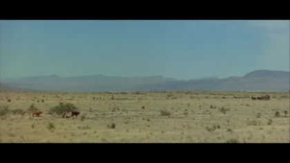 Zwierzęta 1970 lektor pl 1080p western