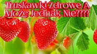 1016. Truskawki Poznaj Ich Zalety & Wady