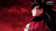 Dragon Ball Heroes 06